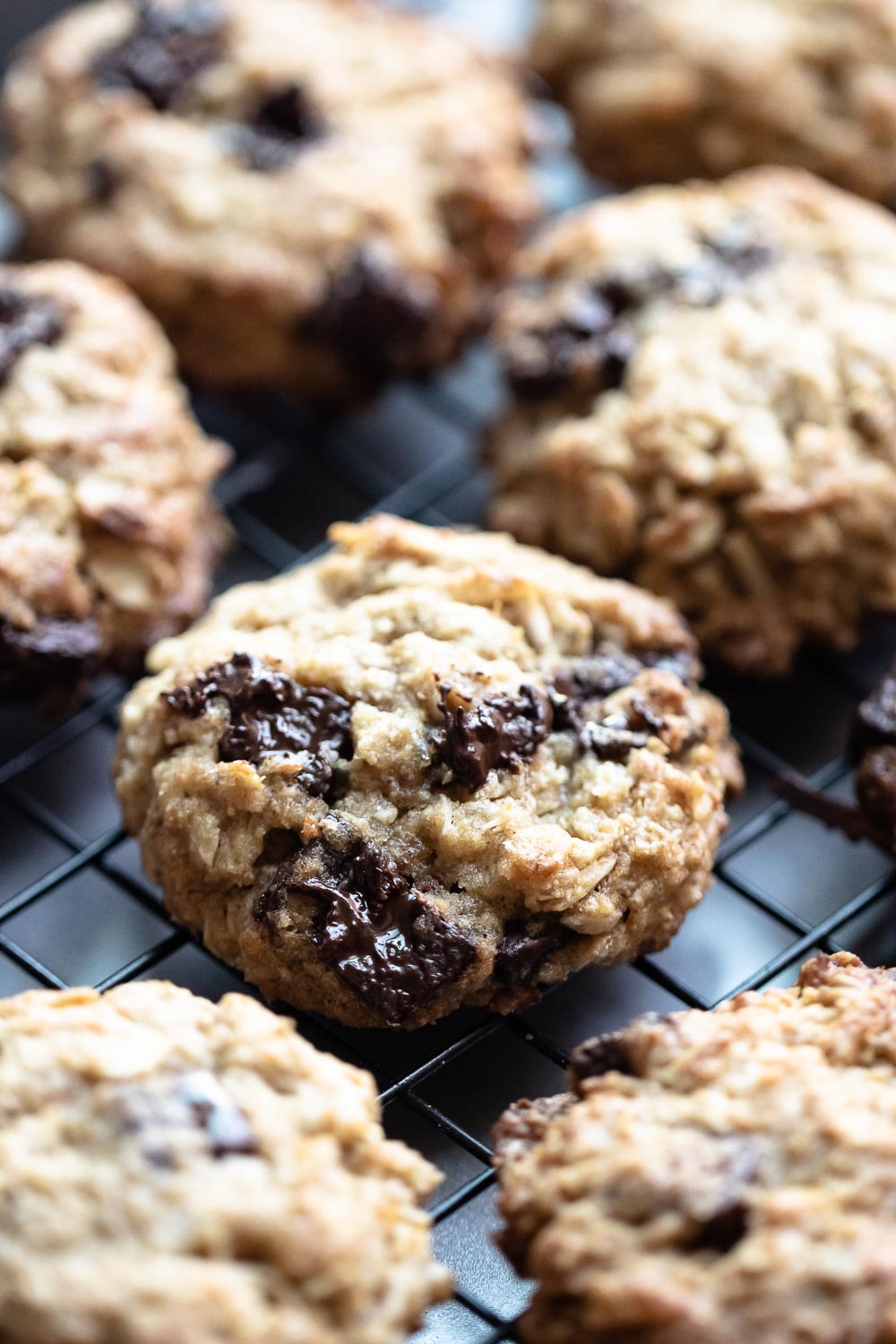 These wheat germ chocolate chip cookies are filled with oats, wheat germ, and chocolate. Perfect for an easy breakfast on the go or as an afternoon energy-boosting snack. And they taste fantastic!