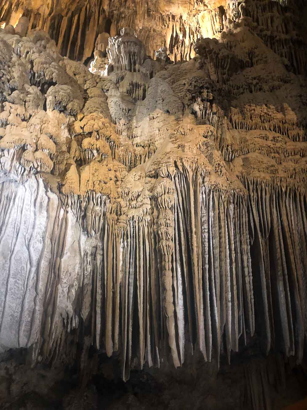 Lake Shasta Caverns. Great way to cool off in the summer and enjoy this million-year old caves!