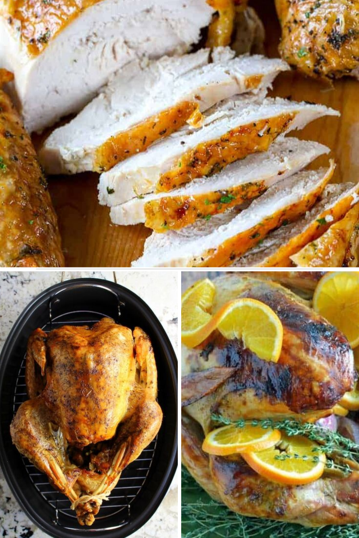 14+ Tasty Turkey Recipes